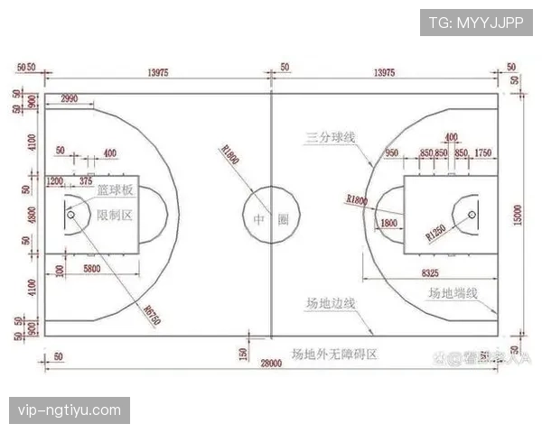 深度解析FIBA和NBA规则区别的核心要点