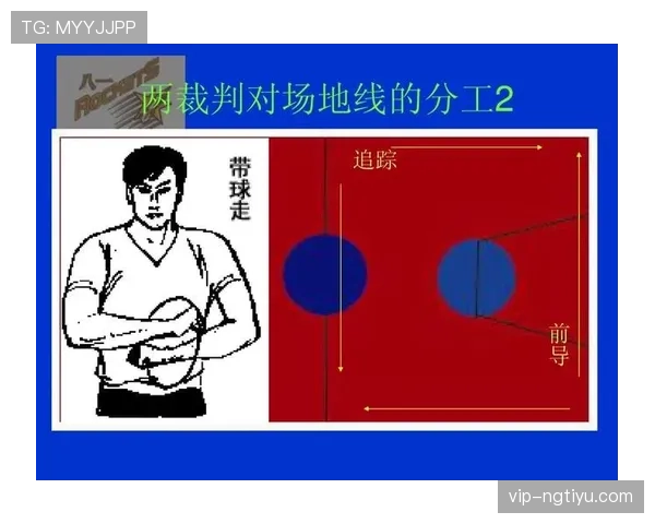 篮球界外球规则具体是如何规定的以及判罚依据是什么