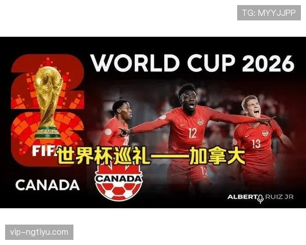 南非队能否突破历史 2026世界杯非洲区预选赛关键战前瞻